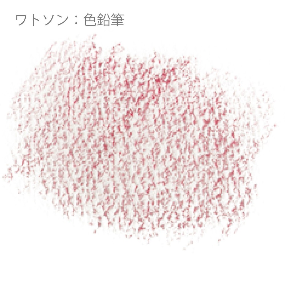 ミューズ ワトソンブロック 300g NW-1402 F2, ワトソン, F2