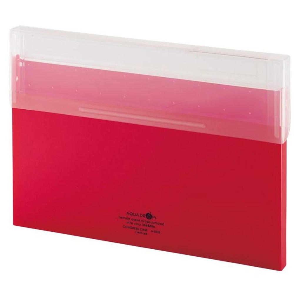 リヒト　コングレスケース　薄型Ａ4　Ａー5035, 乳白, A4ヨコ