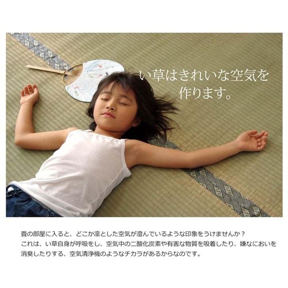 純国産 い草 上敷き カーペット 糸引織 『湯沢』 江戸間 【メーカ直送・代引不可】, い草, 江戸間1畳(約88&times;176cm）