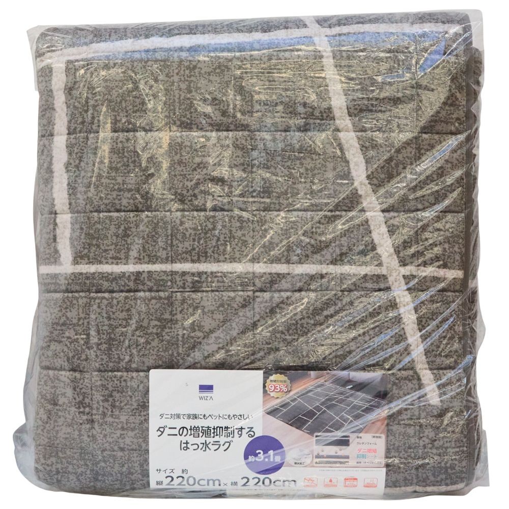 WIZ'A　ウィザ　ダニの増殖を抑制するラグ　２２０Ｘ２２０　ＧＹ　２５幾何, グレー, 220&times;220cm