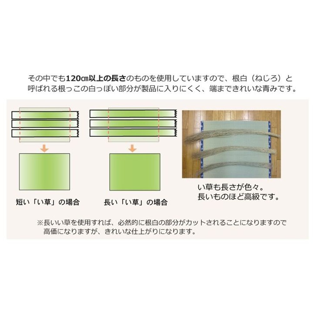 純国産 い草 上敷き カーペット 糸引織 『梅花』 六一間 【メーカー直送・代引不可】, い草, 六一間2畳(約185&times;185cm）