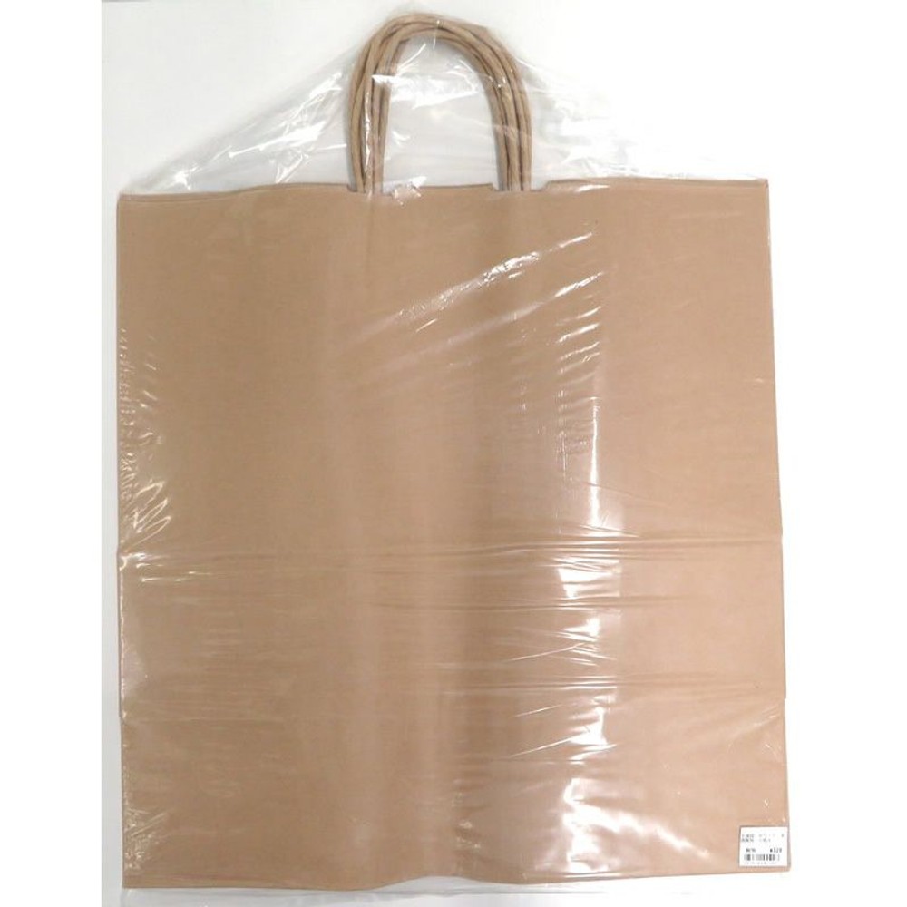 手提袋　45ー1　未晒無地　5枚入, その他カラー１, その他サイズ１