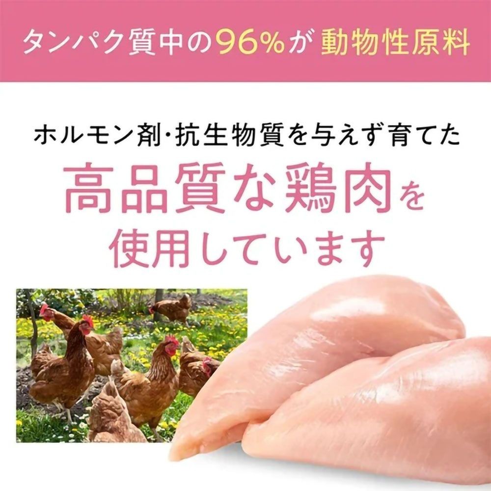 ジェックス Catit Recipes KITTEN 子猫用 生後12ヶ月まで チキン 400g, チキン, 400g