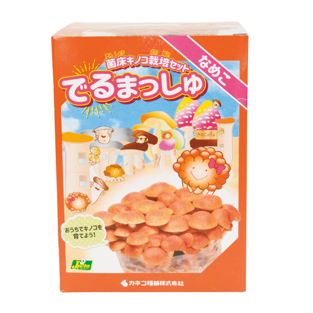 でるまっしゅ　なめこ, -, -