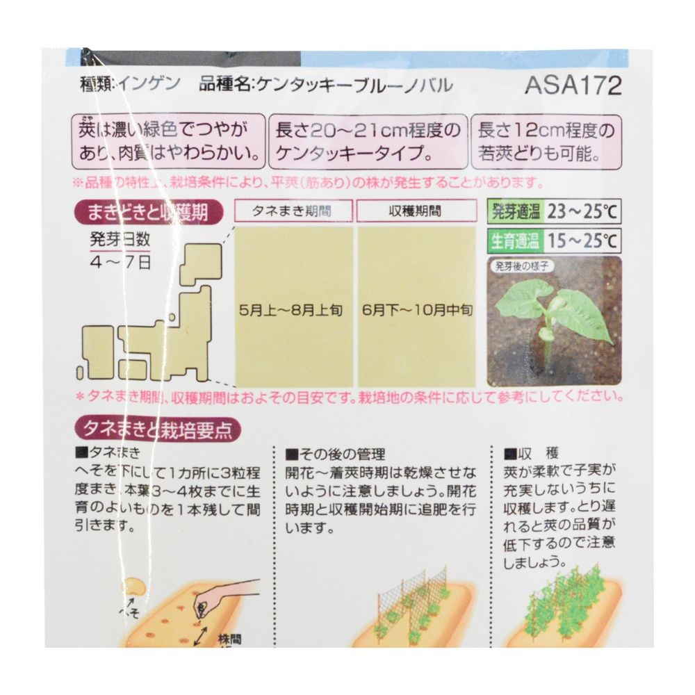 タキイ　やわらかおいしいケンタッキーインゲンＳワンダー, インゲン, 20ml