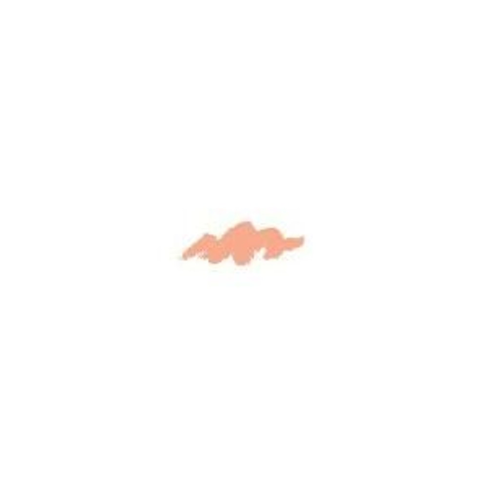 サンフォード カリスマカラー 色鉛筆 PC1001 Salmon Pink サーモンピンク (SANFORD KARISMA COLOR), PC1001 Salmon Pi, サンフォードカリスマカラー色鉛筆