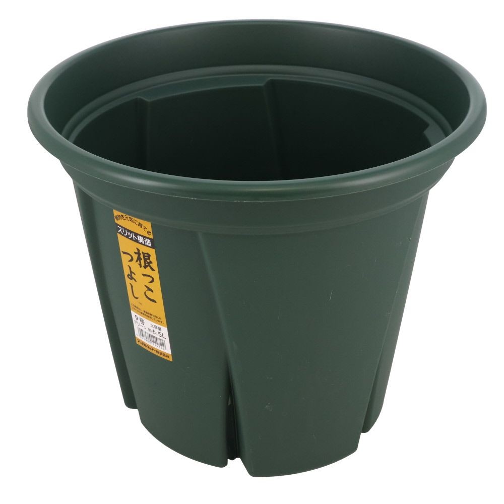 アップルウェアー　根っこつよし, グリーン, 9号