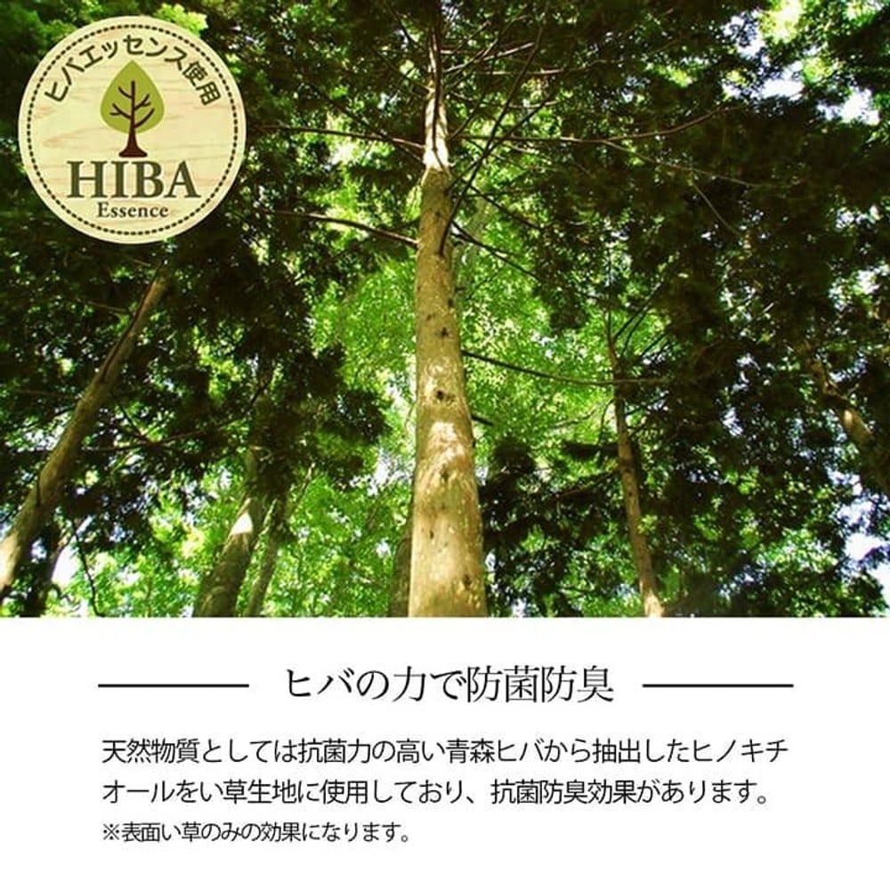 イケヒコ い草カーペット 花ござ ルネ 裏面不織布 レイクブルー 団地間 【メーカー直送・代引不可】, レイクブルー, 団地間4.5畳 255&times;255cm