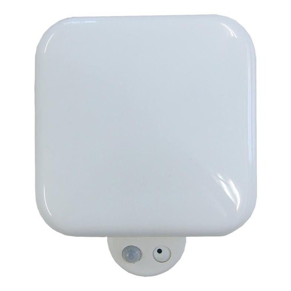 リーベックス REVEX センサーライト型防犯カメラ SD500, セード：乳白色, SD500