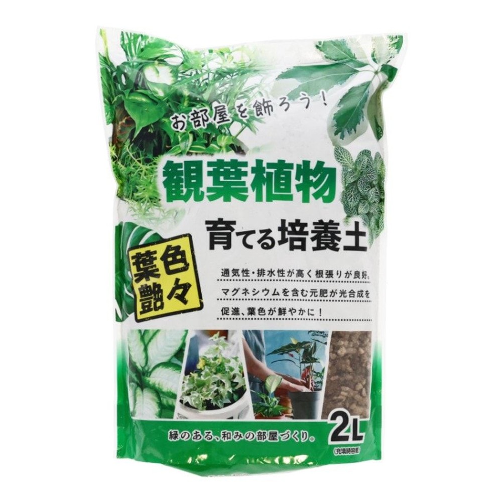 観葉植物を育てる培養土, 観葉植物, 2.0L