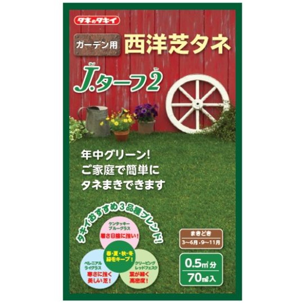 タキイ　西洋芝　Ｊターフ２, -, 70ml