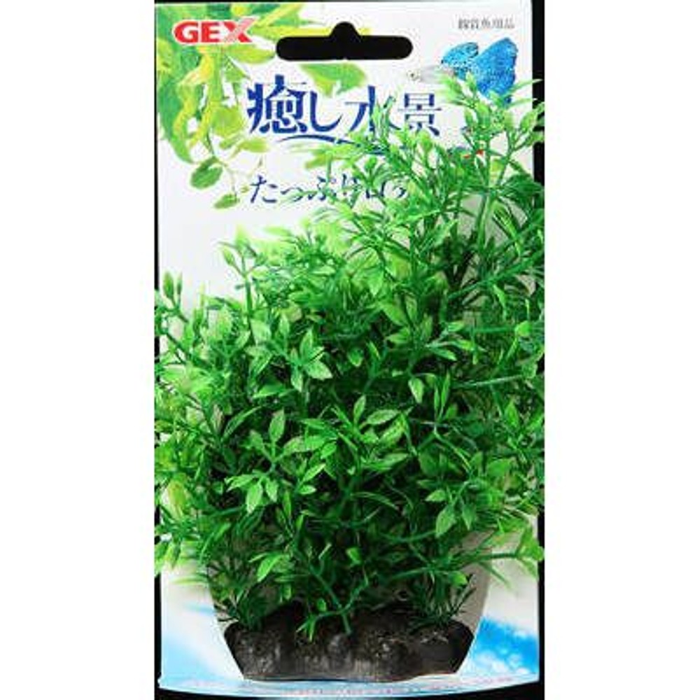 癒し水景　たっぷりプランツ　ロタラ, -, -