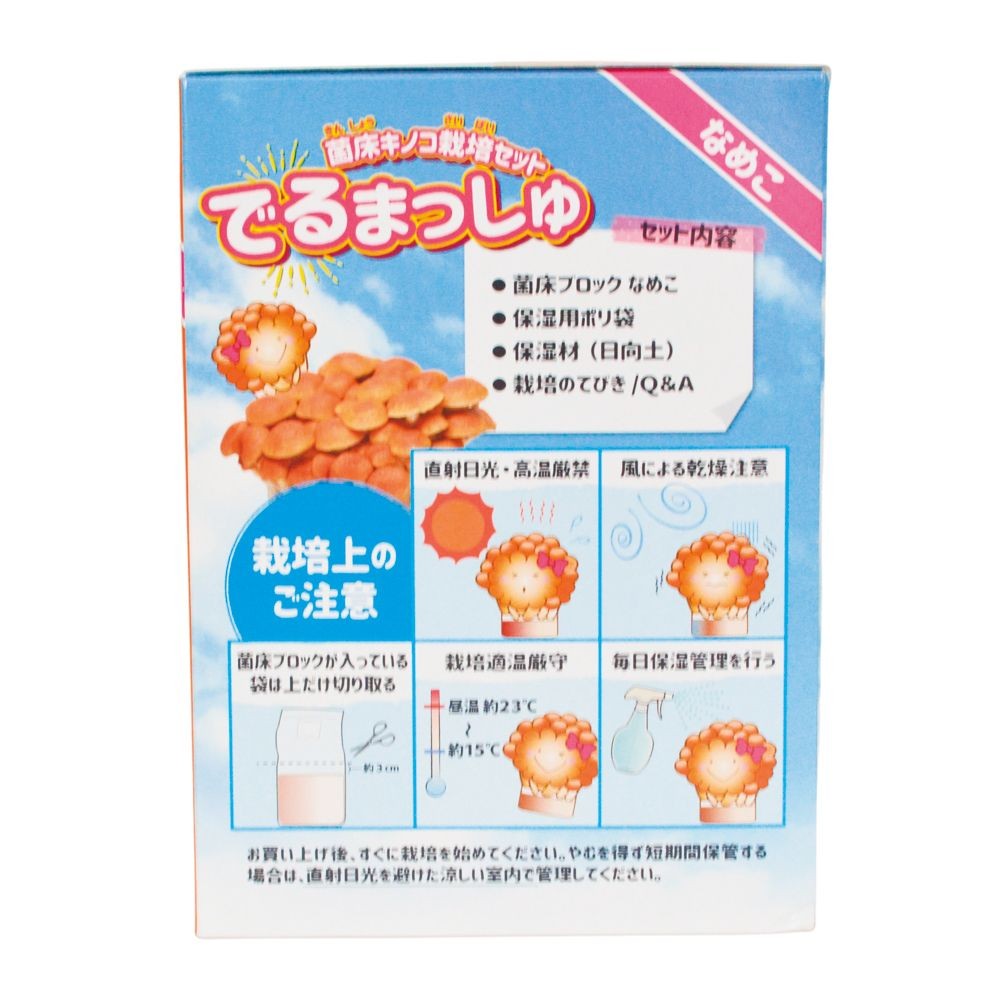 でるまっしゅ　なめこ, -, -