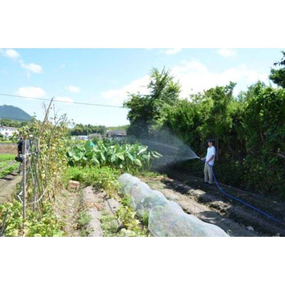 【現行品】工進エンジンポンプ25ｍｍ　ＳＥＶー25Ｌ, その他カラー１, その他サイズ１