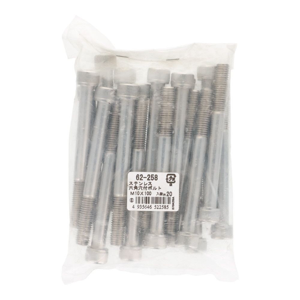 ステンレス　６角穴付ボルト　Ｍ１０&times;１００　２０個入, ステンレス, M10&times;100
