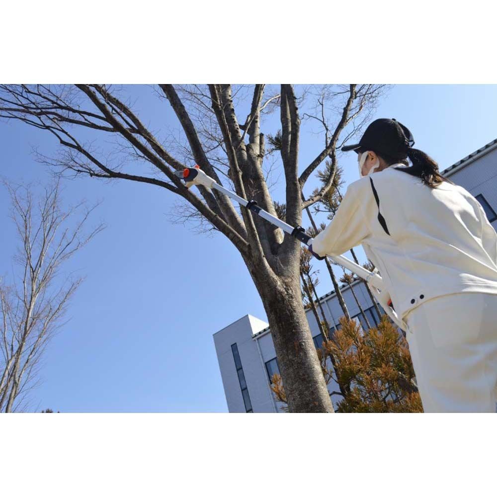 【現行品】工進　充電式ポールチェーンソーＳＰＳー180Ｔ, その他カラー１, その他サイズ１