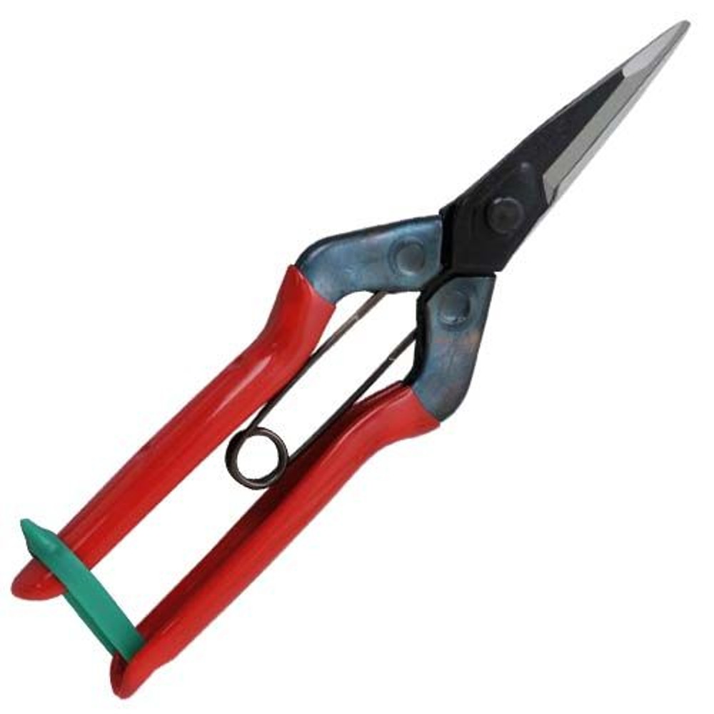 チカマサ　大型摘果鋏　　　　　Ｔ―６０１Ｋ, -, -