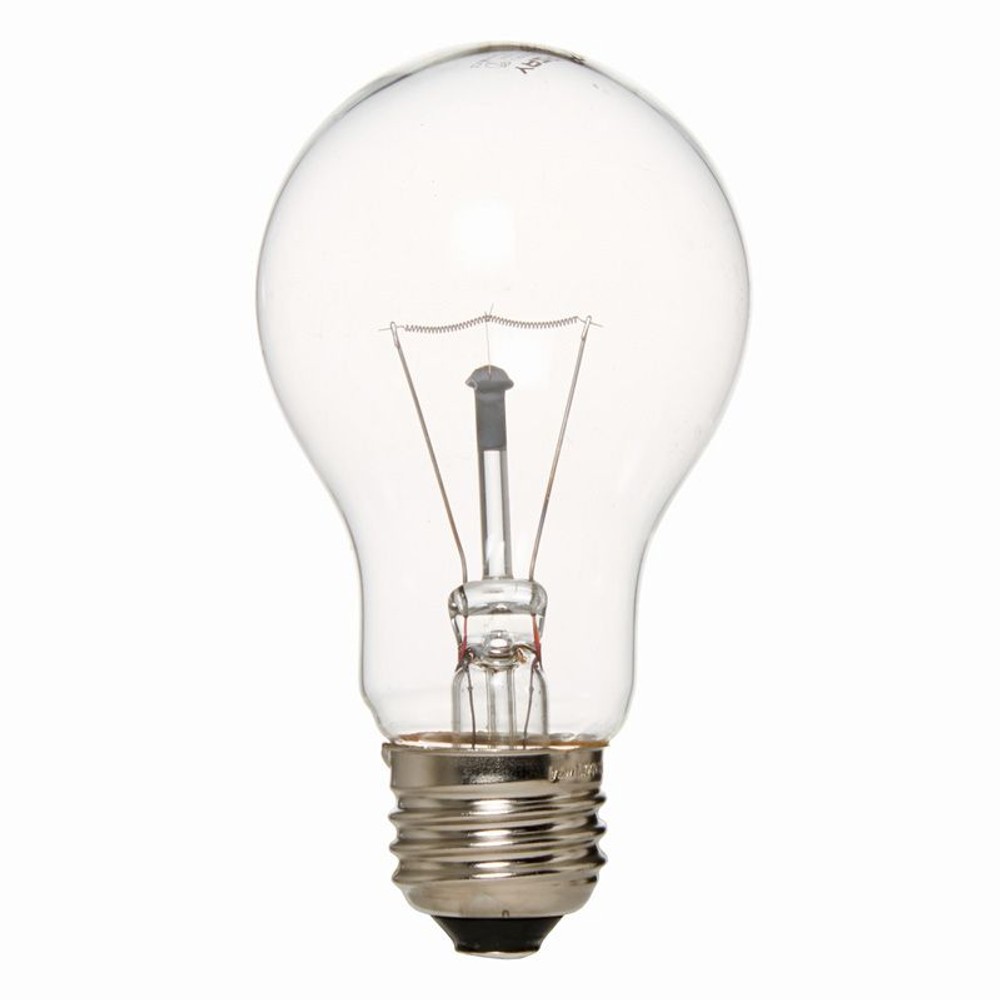 ヤザワ　長寿命クリア　Ｌ100Ｖ, その他カラー１, 40W形