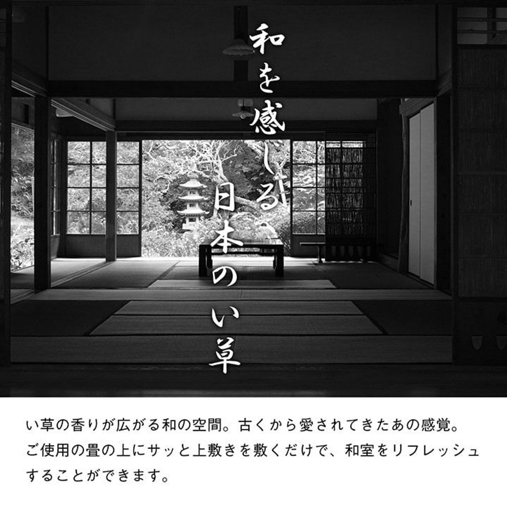 純国産 い草 上敷き はっ水 カーペット 双目織 三六間 【メーカー直送・代引不可】, い草, 三六間2畳(約182&times;182cm）