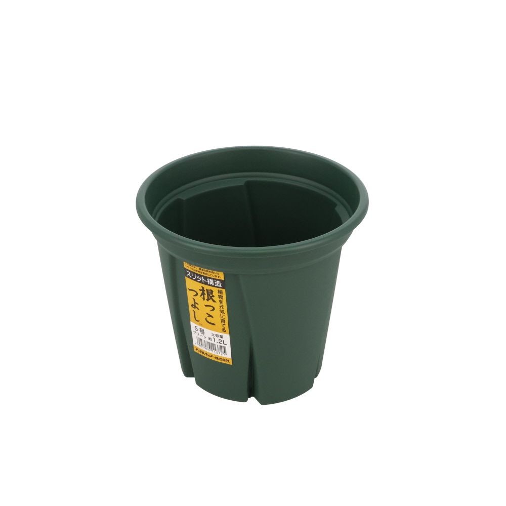 アップルウェアー　根っこつよし, グリーン, 5号