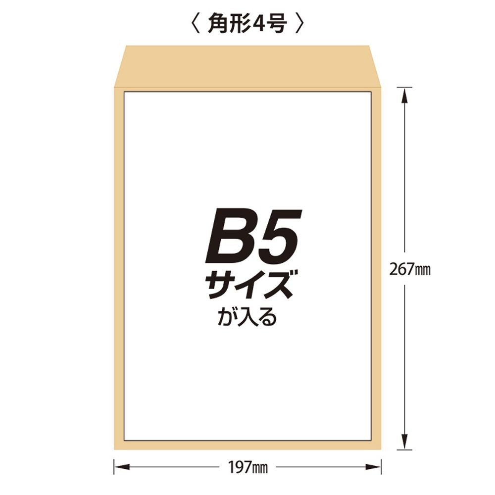 【5個セット】マルアイ Zクラフト封筒 角4 B5サイズ 100枚 PK-Z148 【メーカー直送・代引不可】, 角4 B5サイズ, PK-Z148             