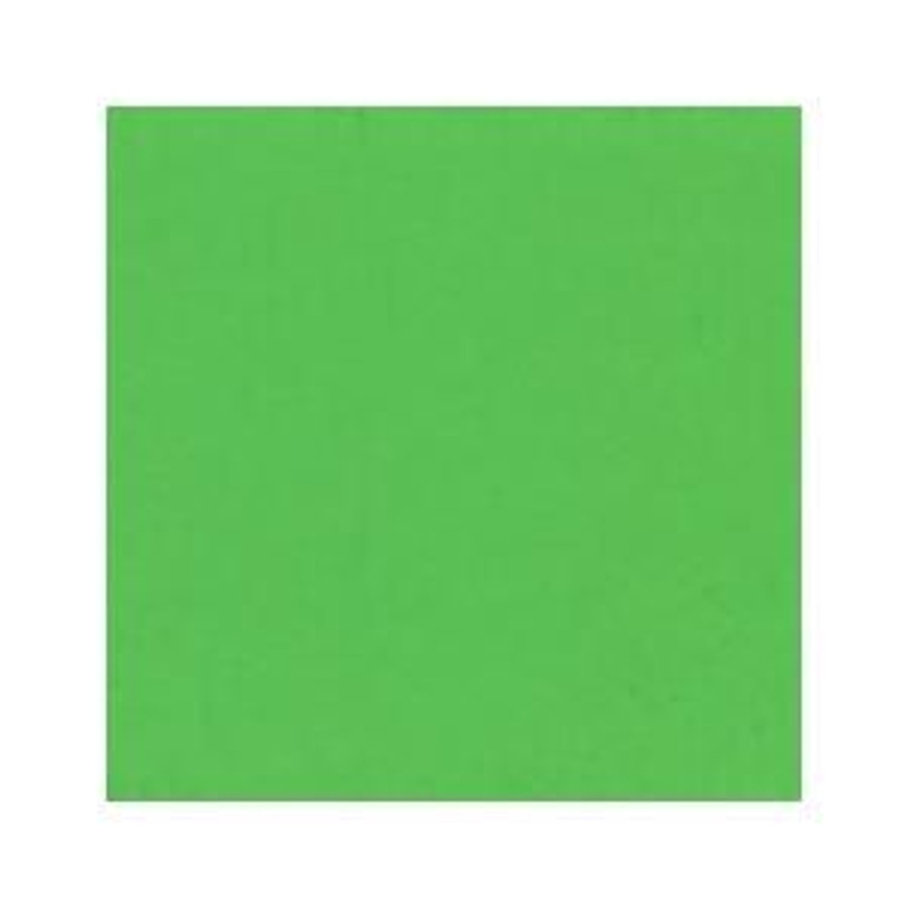 ホルベイン ガッシュ 不透明水彩 G541 パーマネント グリーン ライト 5号チューブ (15ｍｌ), G541パーマネントグリーンLT, 5号チューブ (15ｍｌ)