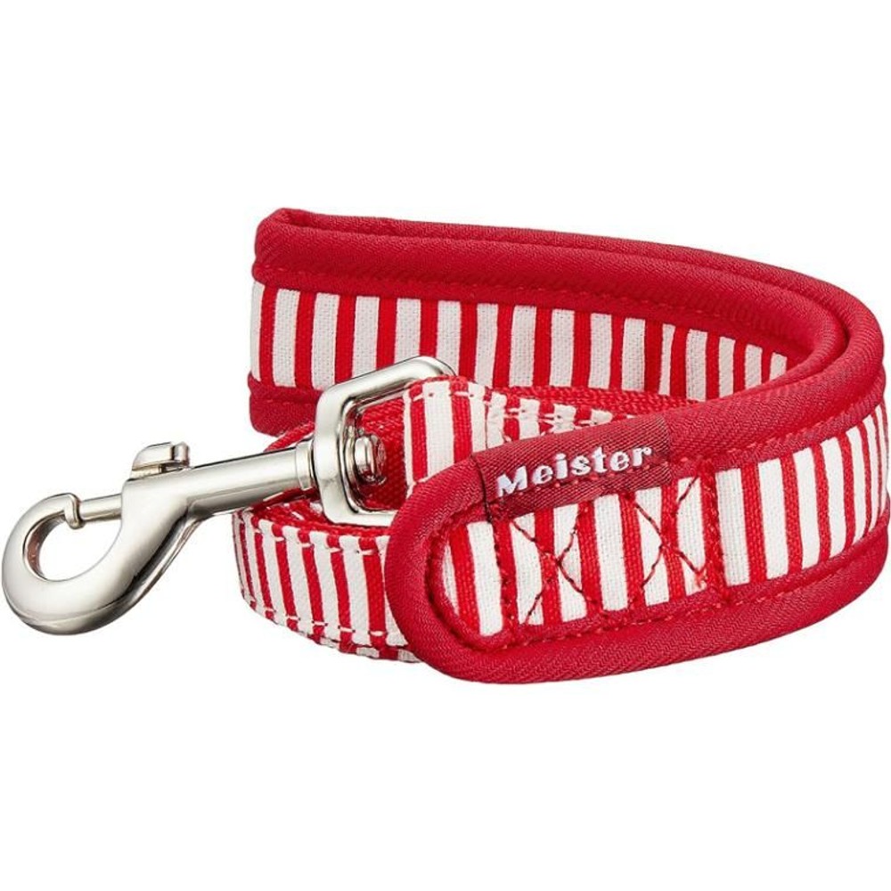 カワノ　ソフティリード　シンプルボーダー　Ｒ, その他カラー１, SSサイズ