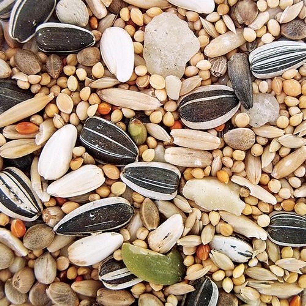 ＮＰＦ　バードテイスト　ボタンインコ　1kg, ボタンインコ専用, 1kg