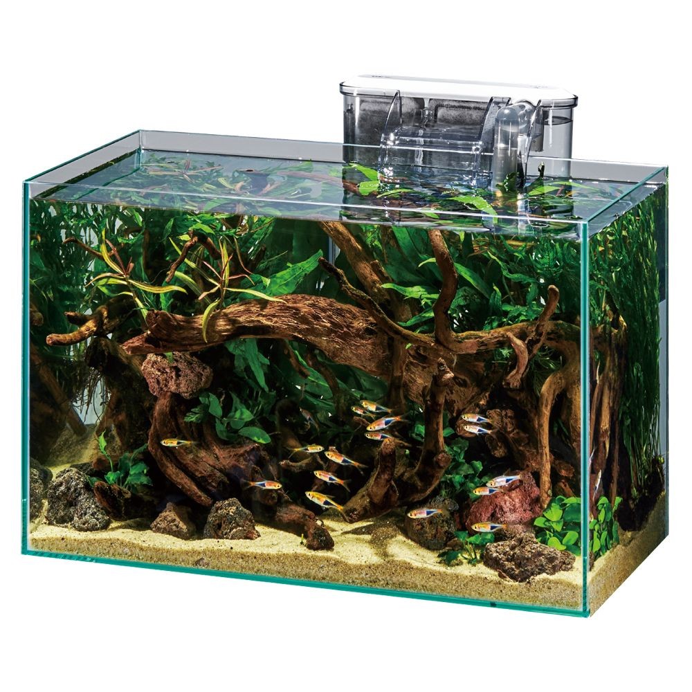 【数量限定】グラステリアFL400 スリムフィルターセット フレームレス水槽, クリア, 幅400mm&times;奥行200mm&times;高さ250mm