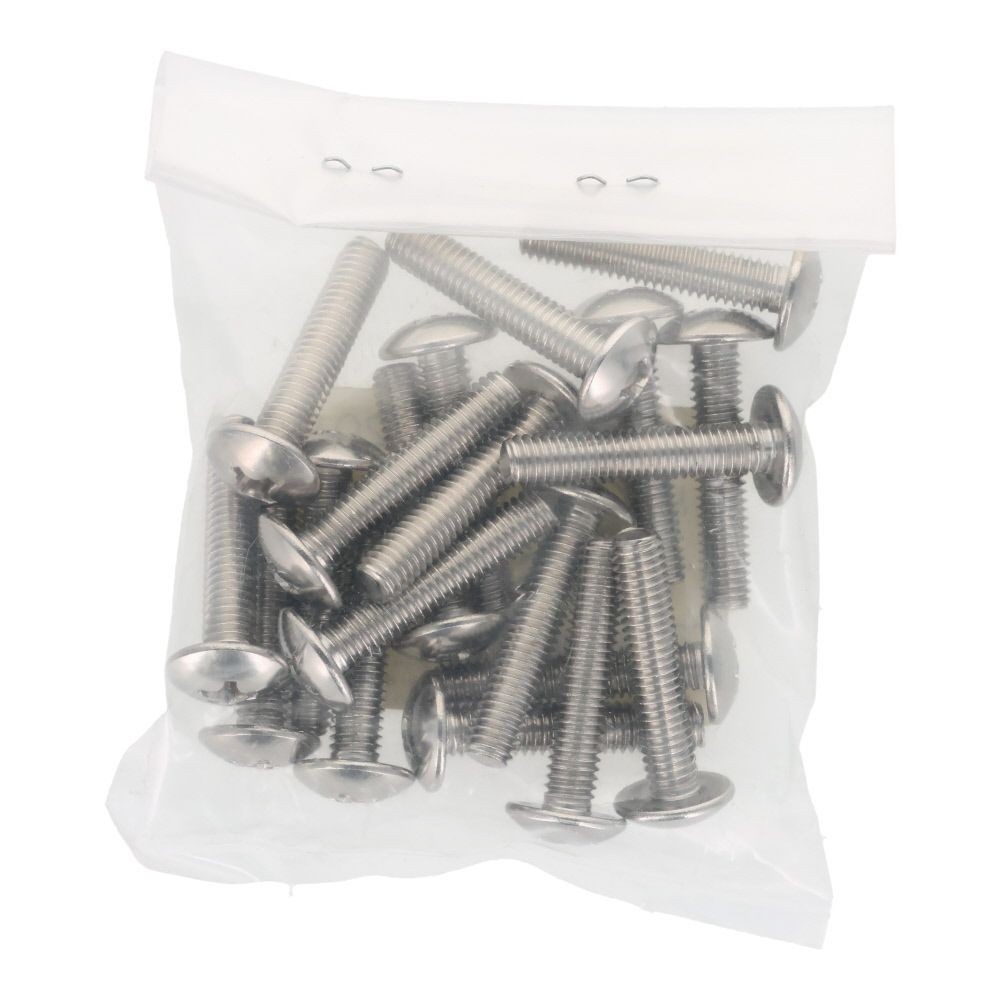 ステンレス　小ねじ　トラス　Ｍ６&times;３０　２０入, ステンレス, 20個入り