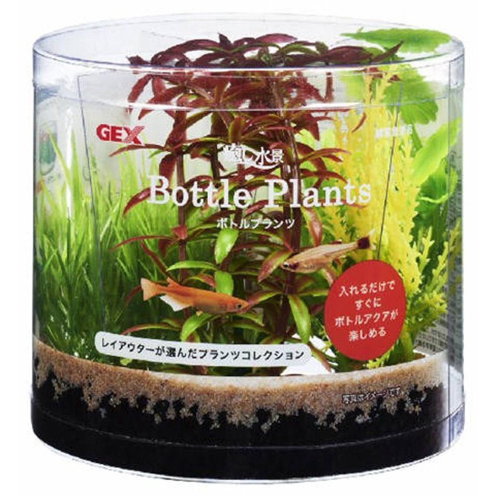 ジェックス　癒し水景　ボトルプランツ　ロタラ, その他カラー１, その他サイズ１