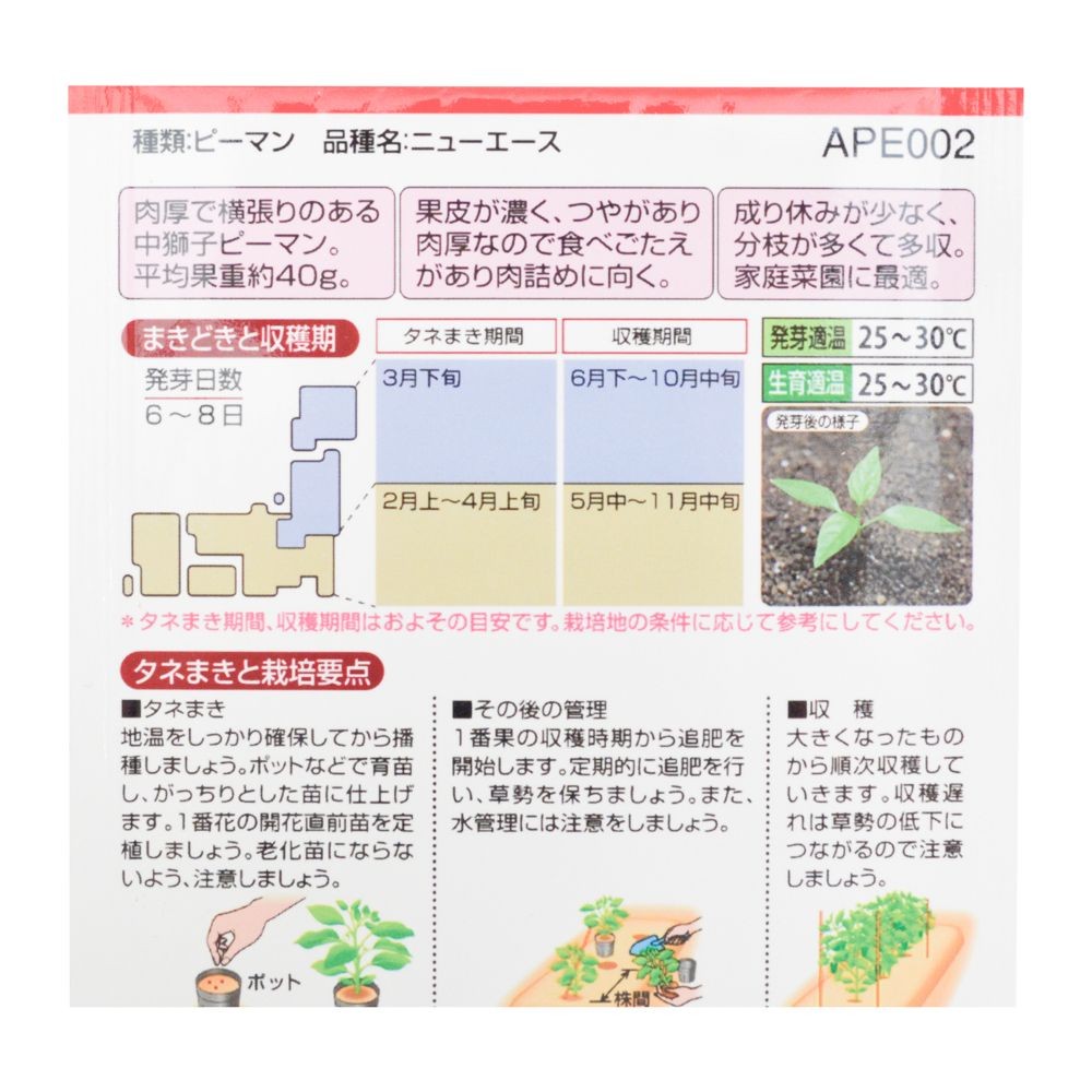 タキイ　ニューエースピーマン, ピーマン, 25粒