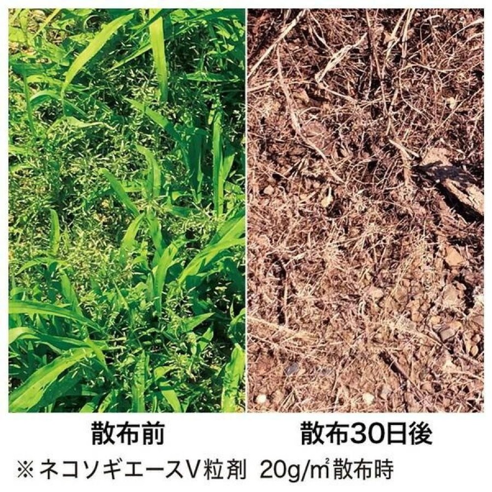 レインボー薬品　ネコソギエースＶ粒剤　３ｋｇ, 粒剤　箱入り, 3.0kg