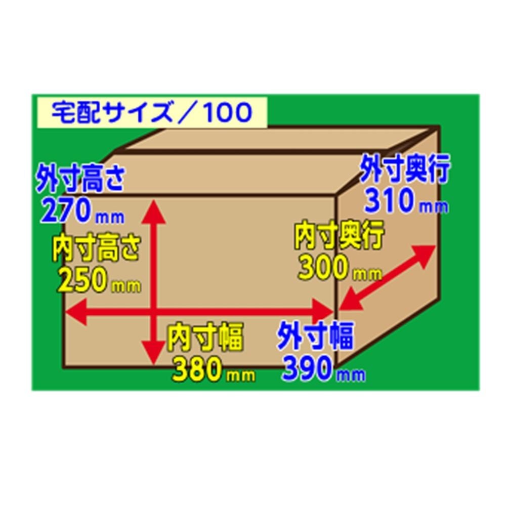 ２　ダンボール　３８０&times;３００&times;２５０, -, 100サイズ