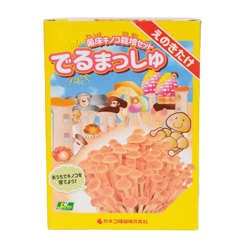 でるまっしゅ　えのきたけ, -, -