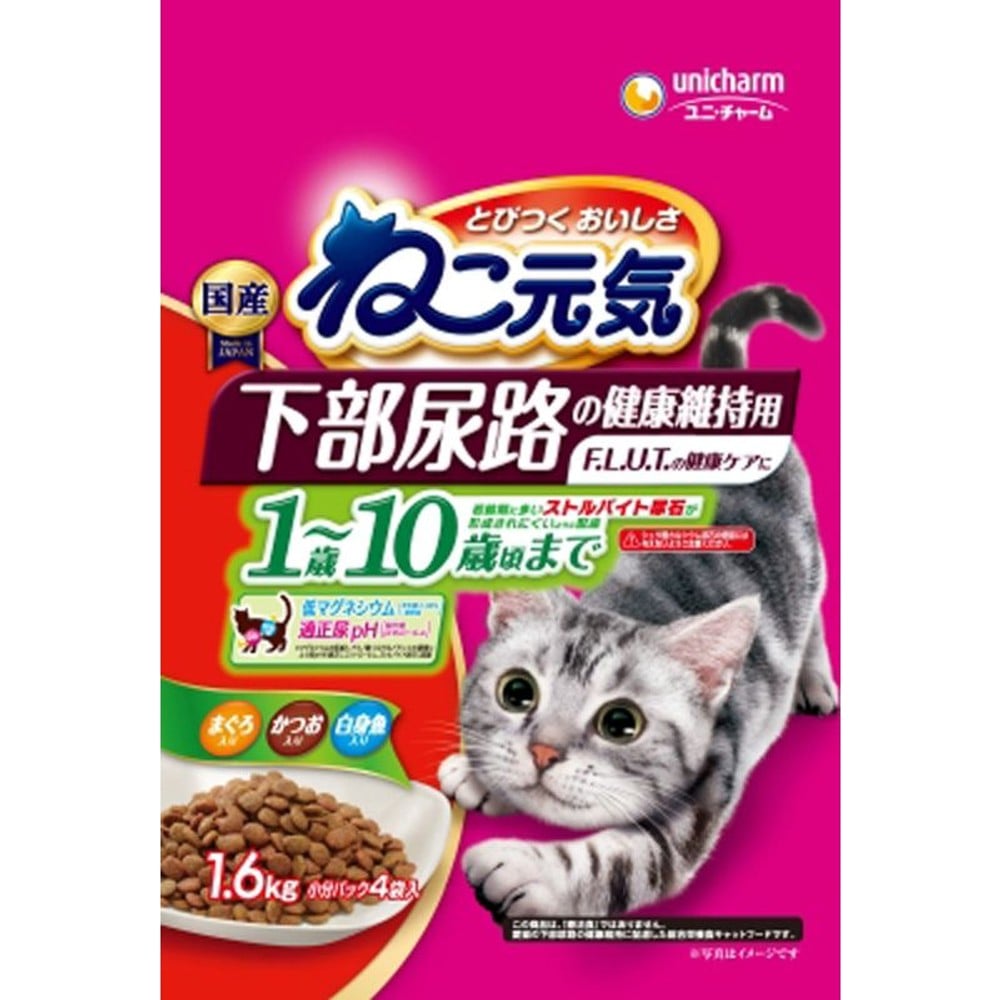 ねこ元気　下部尿路の健康維持用 1〜10歳頃まで 1.6kg, 1〜10歳頃まで, 1.6kg