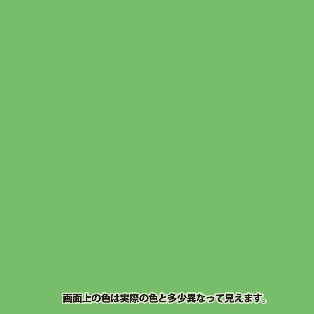 【Mdware削除】カンペハピオ　水性コンクリートフロア用　フレッシュグリーン, フレッシュグリーン（14）, 14kg