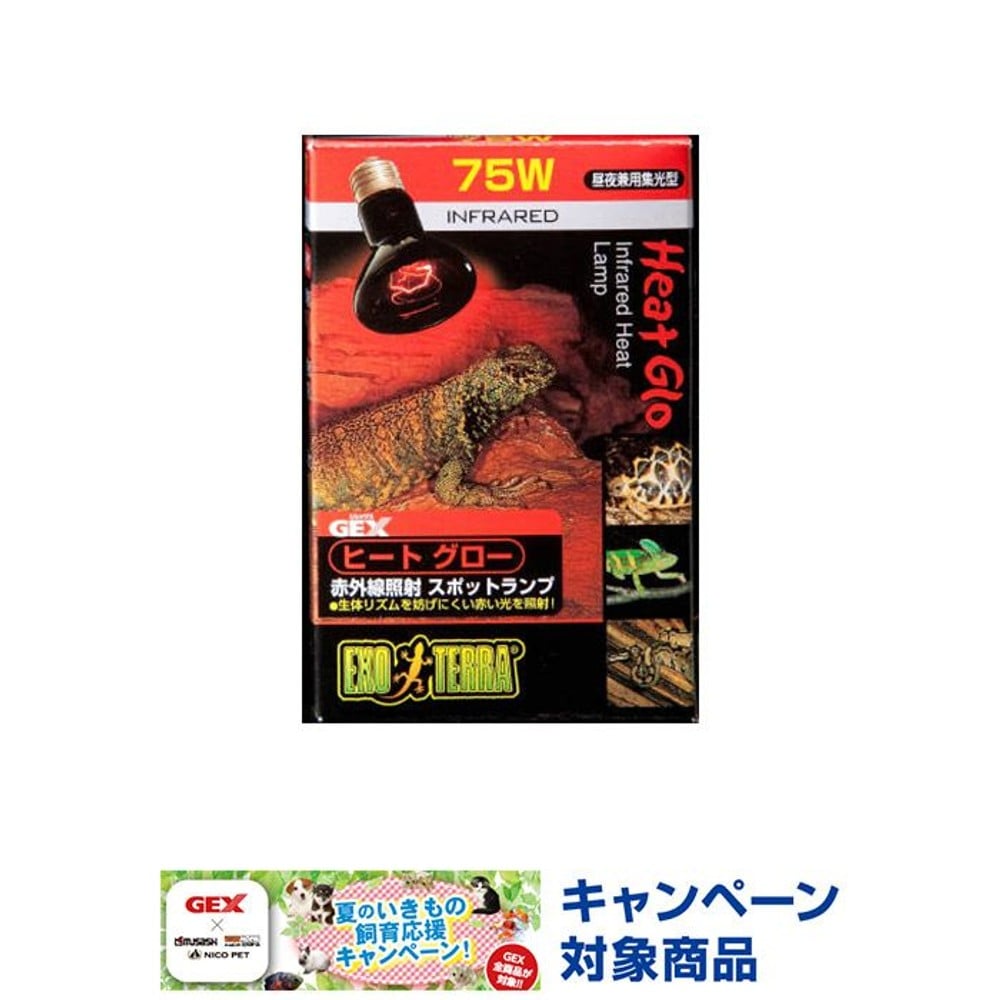 ヒートグロー　赤外線照射スポットランプ　７５ＷＰＴ２１４２, -, 75W