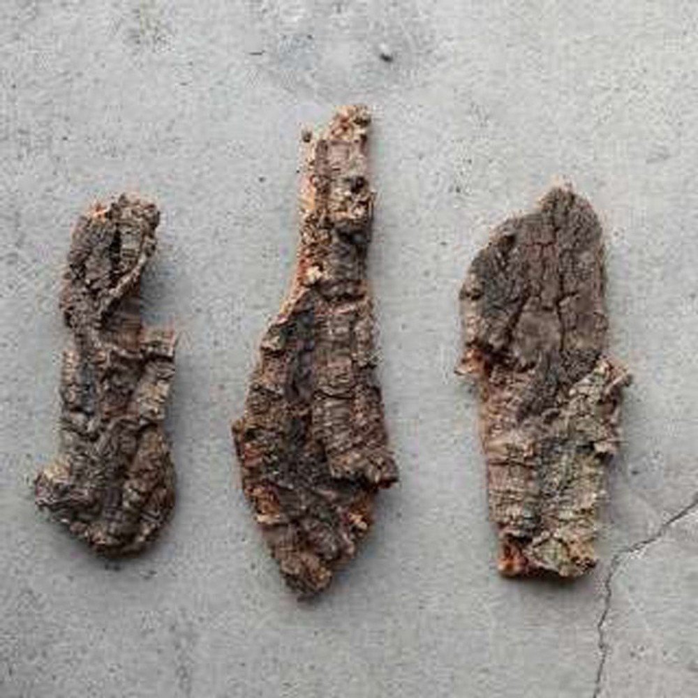 コルクボード　M, -, -