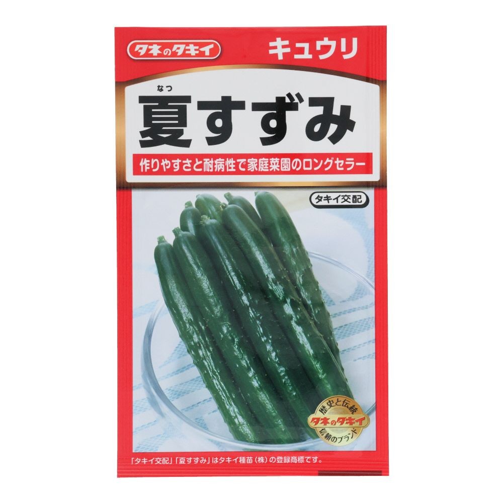 タキイ　夏すずみ, きゅうり, 12粒