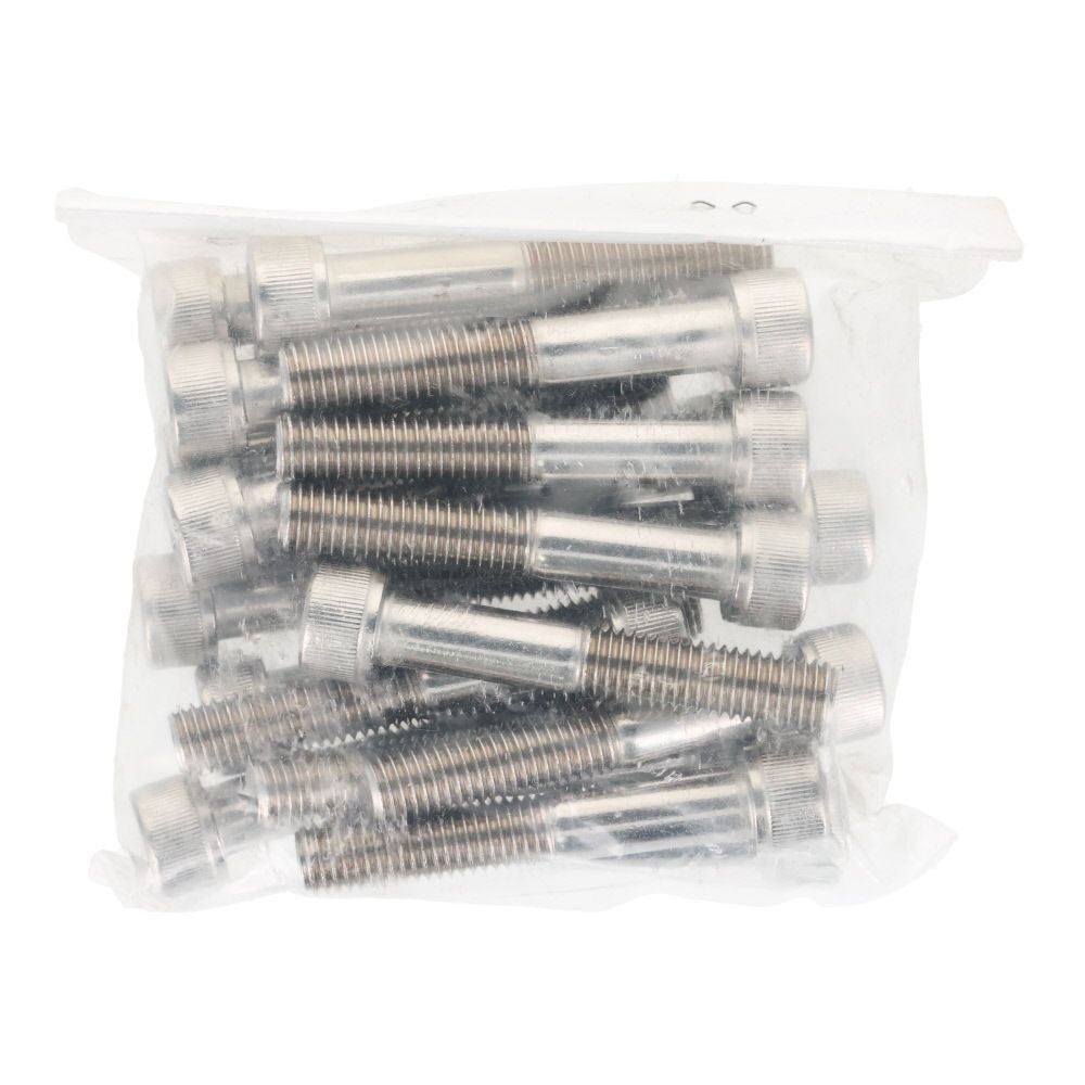 ステンレス　６角穴付ボルト　Ｍ１０&times;６０　２０個入, ステンレス, M10&times;60