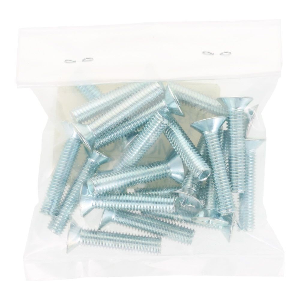 ユニクロ　小ねじ　皿　Ｍ６&times;３０　２０個入り, 小ねじ, M6&times;30