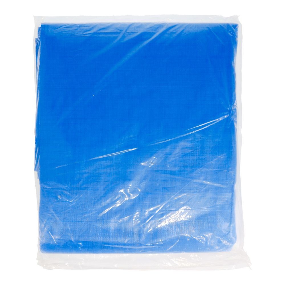 ウィザ WIZ'A ハトメが丈夫なブルーシート＃３０００　４．５m幅, ブルー(4.5), 4.5&times;4.5m