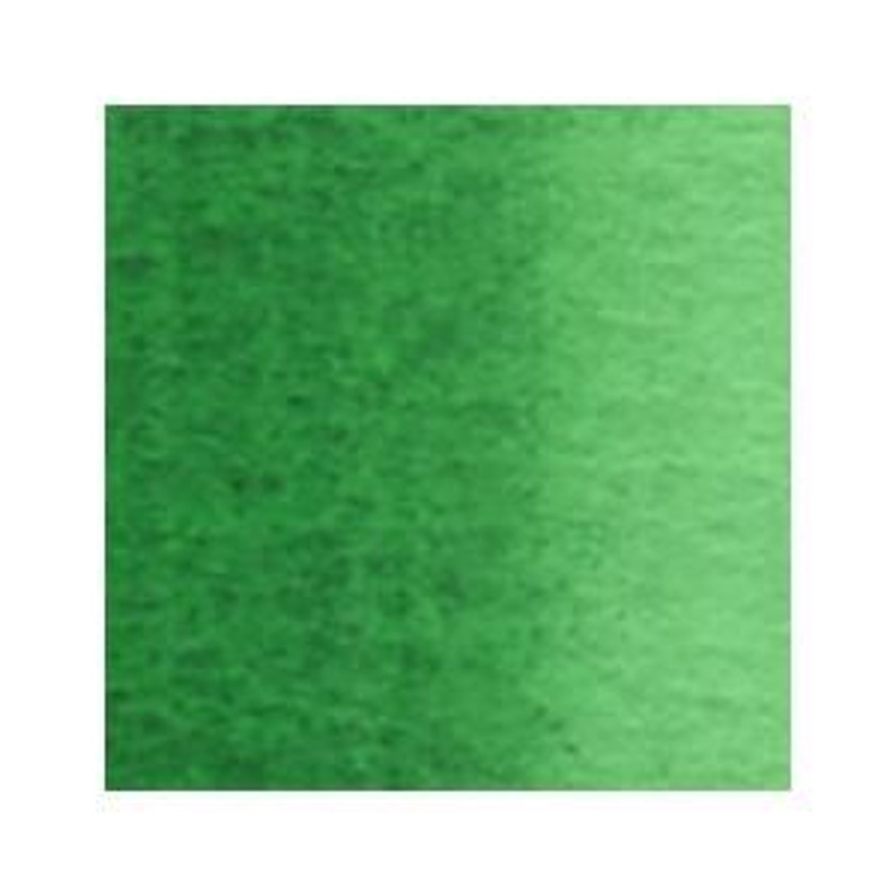 ホルベイン 透明水彩絵具 2号 (5ｍｌ) W062 フーカス グリーン, W062フーカスグリーン, 2号 (5ｍｌ) 