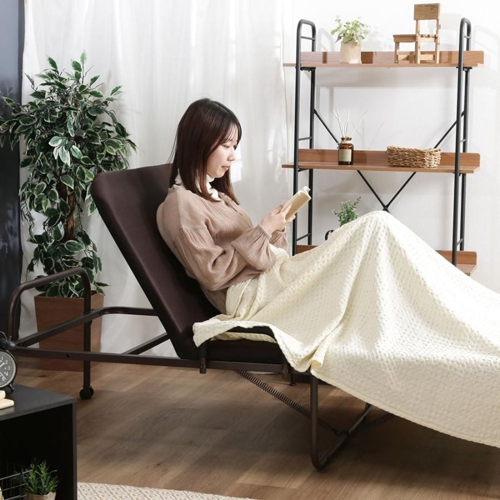 不二貿易  ワンタッチベッド　フリーロック42段　高床タイプ 【メーカー直送・代引不可】, ブラウン, 高床