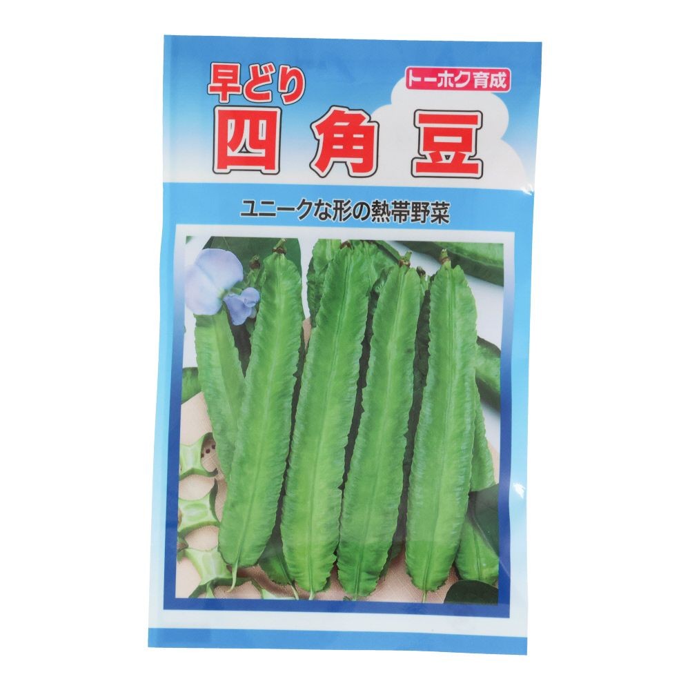 トーホク　新　早どり四角豆, 四角豆, 10ml