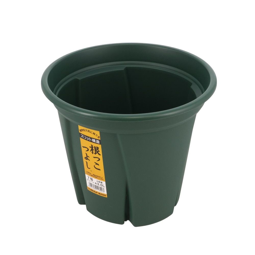 アップルウェアー　根っこつよし, グリーン, 7号