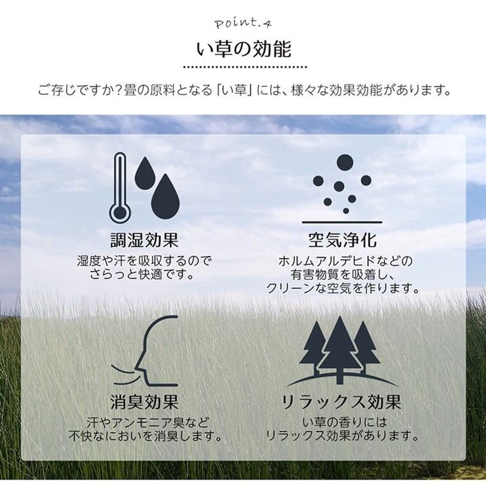 イケヒコ い草ラグばり 花ござ カーペット ラグ ギャッベ(ギャベ)柄 （レッド）【メーカー直送・代引不可】, レッド, 江戸間2畳 約174&times;174cm
