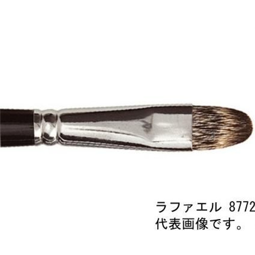 ラファエル 油彩筆 8772- 8号 ケブリン＋ ( 天然毛と人工毛の混毛 ) フィルバート,  油彩筆 8772- 8号, ケブリン　フィルパート