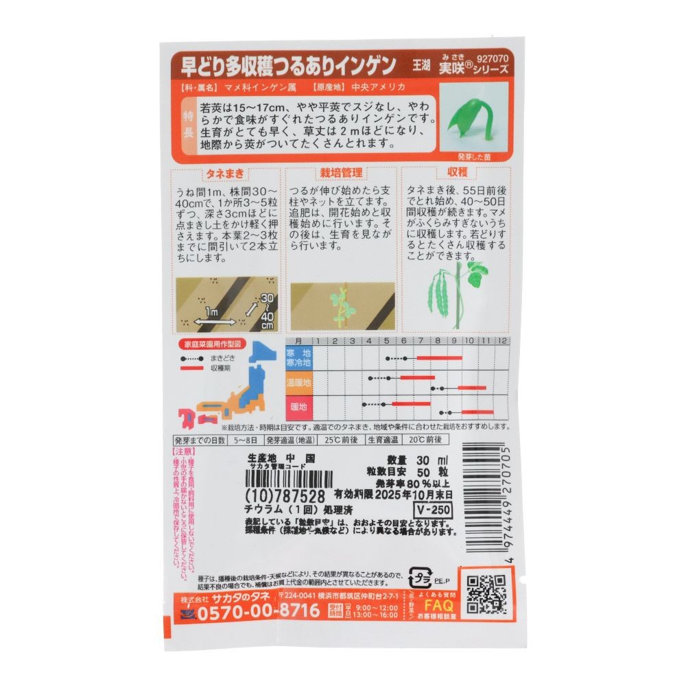 早どりつるありインゲン　王湖, インゲン, 30ml